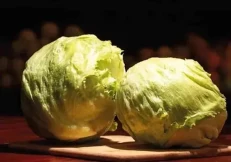 Marule Iceberg 1 kg