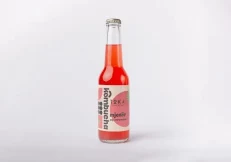 Kombucha Earth Raspberry