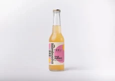 Passion Fruit Earth Kombucha