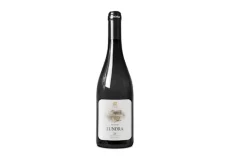Kantina Lundra Pinot Grigio