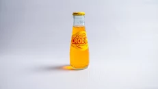 Grodino