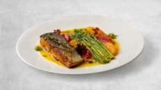 Grilled Salmon Fillet