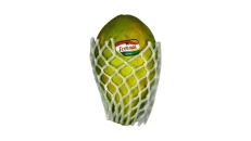 Papaya Jeshile 500GR