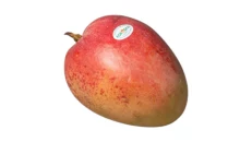 Mango Bio 450GR