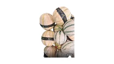 Pjeper Francez 1.4KG