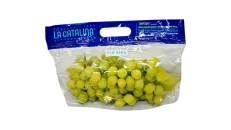 Rrush i bardhe 780GR