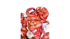 Qepujka 250GR