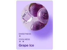 Grape Ice 2 Pods