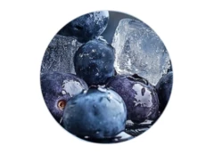 Blueberry Ice 2 Pods
