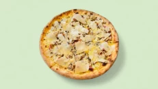 Pica Speckona