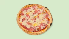 Pica Treviso