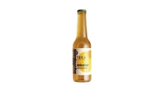 Kombucha Ginger