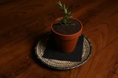 Tiramisu Ulliri