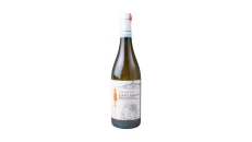 Pinot Grigio
