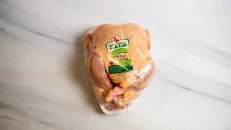 Zog Pule I Fresket Tik Tik