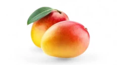 Mango Pasion