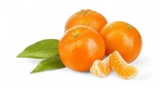Mandarina