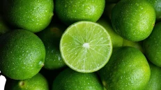 Lime