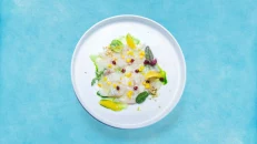 Sea Bass Carpaccio