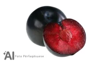 KUMBULLE E KUQE