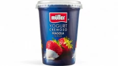 Muller Fragola 500Gr