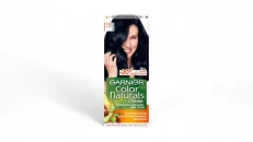 Garnier Color Natural 1.10