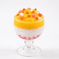 D3.Mango Coconut Sago