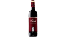 Michele Satta Piastraia 2019-2020