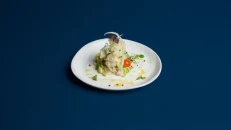 Ceviche Veracruz