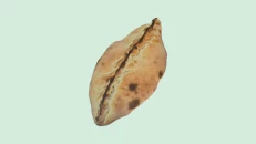 Pica Calzone