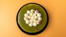 Tortë Pistachio