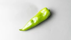 Speci Jeshil