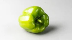Spec Mbushes