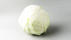 Lakër E Bardhë