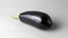 Patëllxhan Vendi