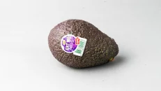 Avokado Bio