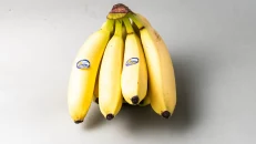 Banane Derby