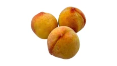 Pjeshk