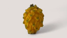 Dragon Yellow