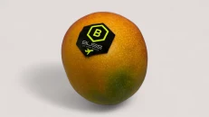 Mango Passion