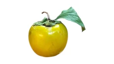 Hurma