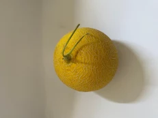 Pjepër