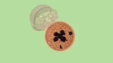 Puding me Protein Vanilje