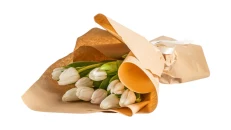 10 Tulipane