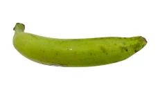 Platano