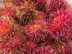 Rambutan