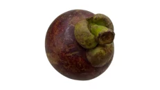 Mangosteen