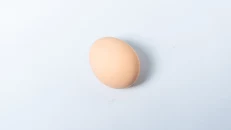 Vez Fshati Bio
