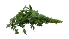 Majdanoz