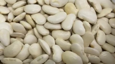 Fasule Pllaqi